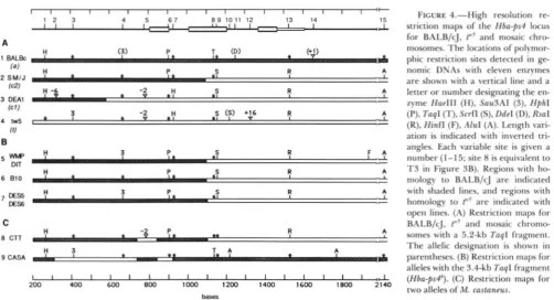 FIGURE 4.-High  striction maps ”of 
