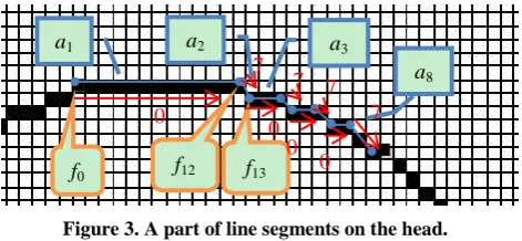 Figure 3. A part of line segments on the head. 