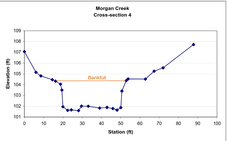 Figure 8. Graph of Sample Cross-Section from Morgan Creek   The bankfull stage and all the survey points are shown on the graph