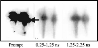 FIG. 4. �a� The prompt optical gated image with the laser focused at the foiltarget with a wire placed behind