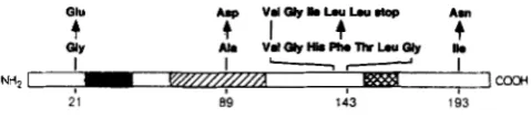 FIGURE 3.-Sequences tained from the selection for temperature sensitive variants. The 