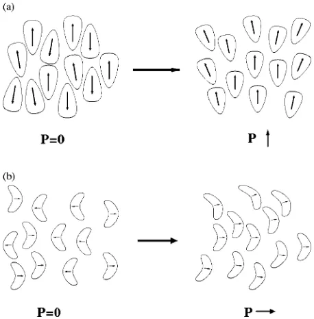 FIG. 1. Structure of PCH5 showing dihedral angles �, �, �, and �.