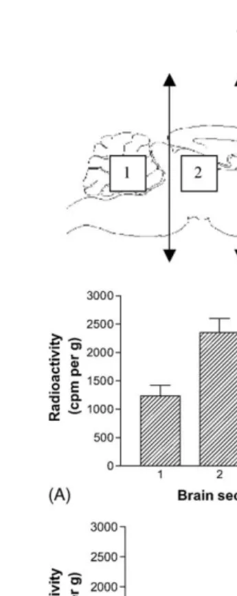 Fig. 4. Brain radioactivity distribution proﬁles after intravenous ad-ministration of VIP encapsulated in glucose-vesicles (A) or in vesi-cles without glucose (B), or free VIP (C), using 125I-VIP as a tracer(three animals per formulation)