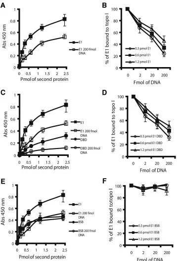 FIG. 6. DNA decreases the interaction between E1 and Topo I. (A) ELISAs were performed using Topo I as the immobilized protein.Increasing concentrations of the indicated proteins (GST-E1 or GST-E1 prebound to 200 fmol DNA [60 bp]) were added to the wells