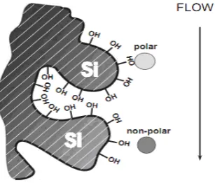 Figure No. 5. Reverse Phase Chromatography 