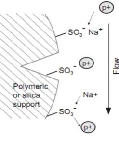 Figure No. 6. Ion Exchange Chromatography