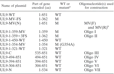 TABLE 2. List of oligonucleotides used in PCR for generating the UL9 mutant constructs