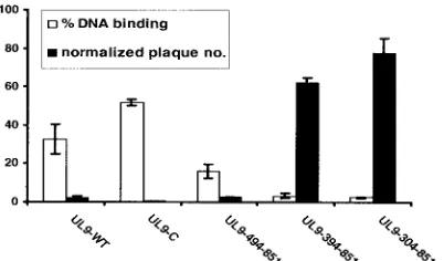 FIG. 5. The inhibition of plaque formation is correlated with DNAbinding ability. The normalized plaque numbers (black bars) and DNA