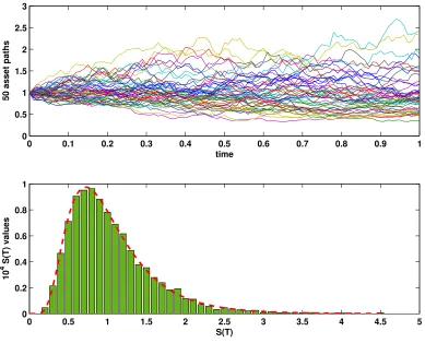 Figure 1: Asset price paths and a histogram at expiry time.
