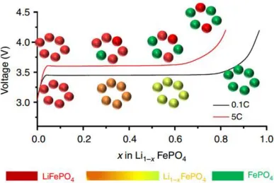 Figure 6: Schematic illustration for multi-particle LiFePO4 system [7]. 