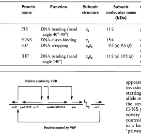 Table 2. 'Histone-like' proteins of E. coli 