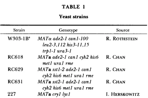 TABLE 1 strain  W303-1B.  Mutants mfal::URA3A,  mfaI::LEUBC, mfa2::URA3 and mfa2::LEU2C, also constructed in this 