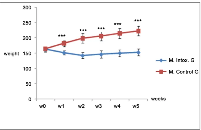 Figure 4. 3.4. Evaluation of Memory Functions 