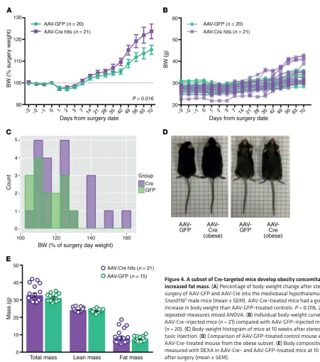 Figure 4. A subset of Cre-targeted mice develop obesity concomitant with increased fat mass