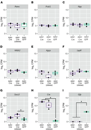 Figure 5. Cre-targeted mice have unaltered hypothalamic leptin-melanocortin gene expression, but increased Socs3 expression in obese animals