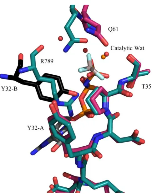 Figure 1.4:  Active site comparison of Ras-RasGAP.  Ras bound to GppNHp solved in the P3221 (PDB code: 1ctq warm pink) space group compared to the conformation in the Ras-RasGAP complex with GDP and AlF3 (PDB code: 1wq1 teal)