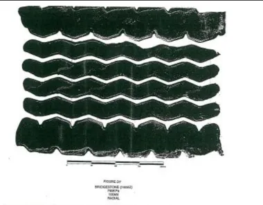 Figure 2-8: Tyre Contact Shape  