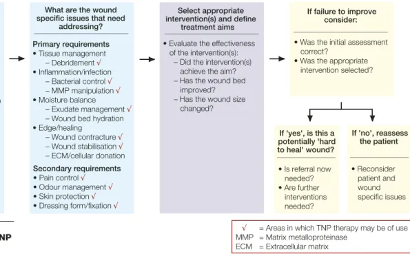 Figure 1 | Wound specific issues and the role of TNP therapy 