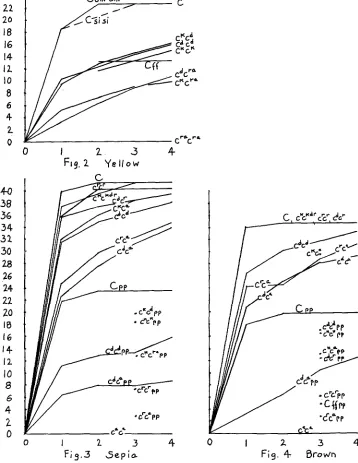 2 3 Fig.2 Y e I I o w  