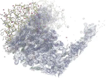 Figure 10. Electron density map and Ras-RafRBD model in asymmetric unit of wtRasRaf. The wtRas/Raf complex was solved in the space group P321