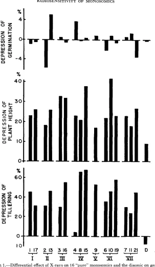 FIGURE 1.-Differential tion (top), plant height in the seedling stage (center), and tillering (bottom) expressed centage decreases effect of X-rays on 16 “pure” monosomics and the disomic on germina- as per- (+) or increases (-) for the characters studied