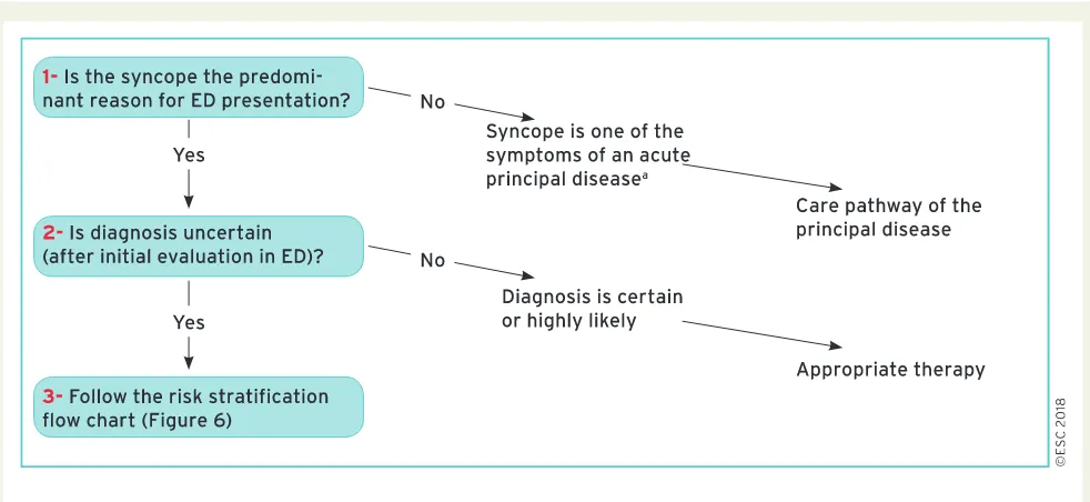 Figure 5 The management of patients presenting to the emergency department for transient loss of consciousness suspected to be syncope(modified from Casagranda et al.40)