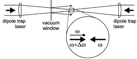 FIG. 5. A partial reﬂection of the trapping beam at one of thevacuum cell walls interferes with the dipole trap.