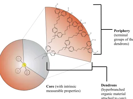 Figure 1.1  Illustration of dendrimer primary structure.  Components are shown with proper relative arrangement and orientation