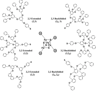 Figure 2.1.  Structures of the constitutional isomeric dendrimer pairs.  Each dendrimer has the form (molecule, four identical ligands are attached to the iron-sulfur core (denoted by a circled D)
