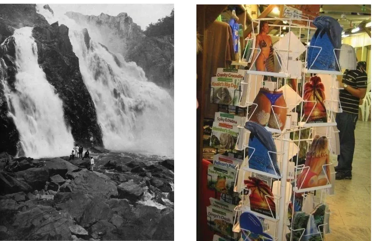 Figure 1.3. Souvenir images showing the changing face of communing with nature in the Trinity Bay district, from posing before the Barron falls in flood to postcards of colourful flora, fauna and white women, soaking up the sun under tropical skies