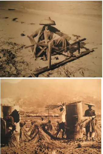 Figure 3.12, Figure 3.13. Queensland or China? Net spinning and rice cultivation, Guangdong