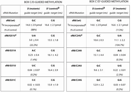 TABLE 1. Archaeal Box C/D sRNA-Guided Nucleotide 2'-O-Methylation Requires Watson-Crick Base Paired Guide and Target Nucleotides For Both D and D’ Target RNAs 