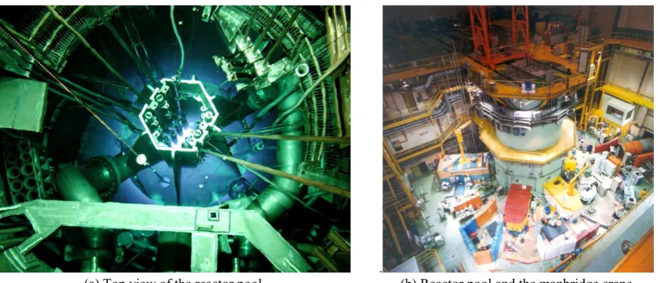 Fig. 1Reactor pool and the manbridge crane of HANARO 