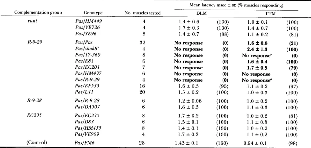 TABLE 5 