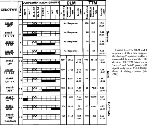 FIGURE 6.-The responses  of flies heterozygous  for 