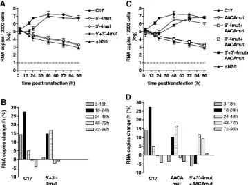 FIG. 6. Kinetics of RNA replication of various CS-A mutants. C17 and �C) RNA copies isolated from 2,000 cells were quantiﬁed at various time points posttransfection by real-time PCR