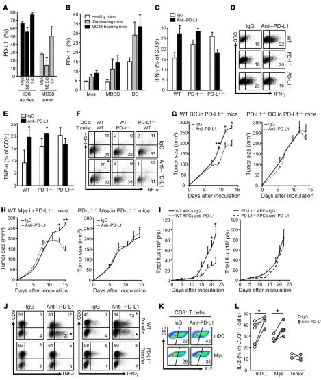 Figure 4. Expression and role of APC PD-L1 in immunosuppression. ((of anti–PD-L1 on T cell effector cytokine expression