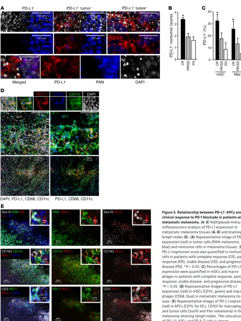 Figure 5. Relationship between PD-L1+ APCs and clinical response to PD-1 blockade in patients with 