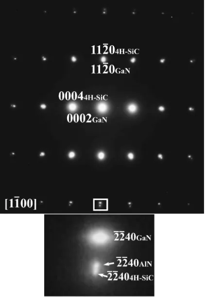 FIG. 3. Selected area electron diffraction pattern recorded from