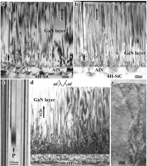 FIG. 5. Bright ﬁeld TEM images of a plan-view sample ob-