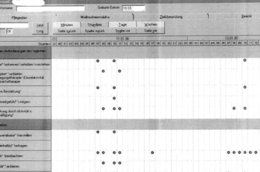 Fig. 2. Typical documentation of planned or other tasks in a computer-based documentation system