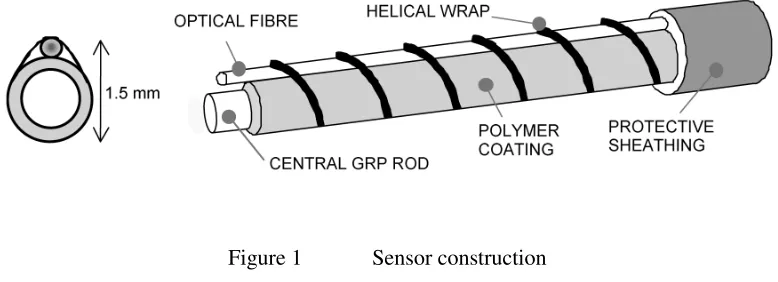 Figure 1 Sensor construction 