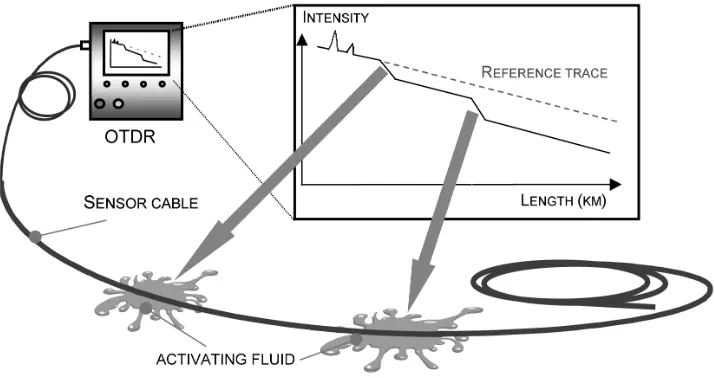 Figure 2 Schematic of sensor operation 