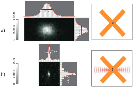 Fig. 2. a) CCD image of one atom stored in the MOT (exposure time 1s). The countsare binned in the vertical and horizontal directions and ﬁtted with Gaussians to determinethe size and the absolute position of the trap