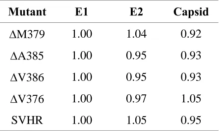 Table 2.1:  Relative density of viral proteins produced from selected mutants.  