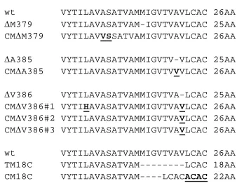 Figure 2.5:  Compensatory mutations (CM) found in the E2 transmembrane domain.  After serial passage and an increase in infectious virus production, virus was lettering