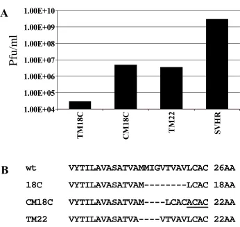 Figure 2.6:  Comparison of the TM18C, CM18C, and TM22 growth and sequence (see text for description of these mutants)