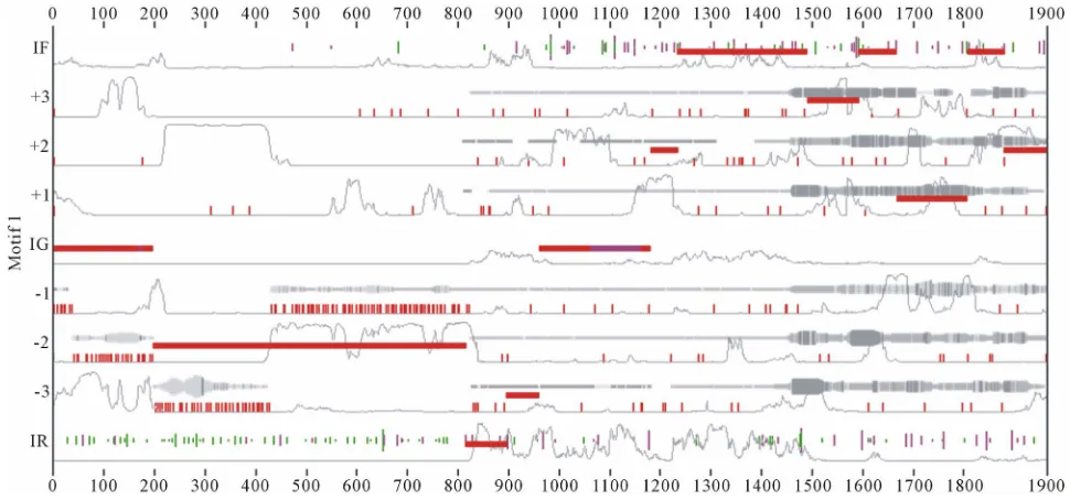 Figure 12. Results generated by MEME and EuGene’Hom. 
