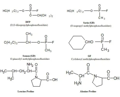 Figure 1-7:  The chemical structure of G-type nerve agents and proline dipeptides, Leu-Pro 