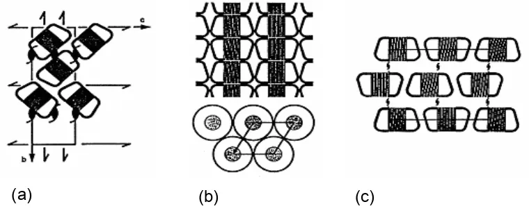 FIGURE 1.3. Schematic representation of the packing of α-CD molecules within their 